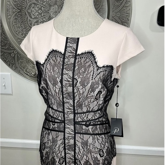 SOLD NWT Adrianna Papell Dress - Picture 3 of 14